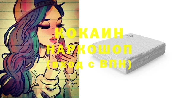 сатива Тавда